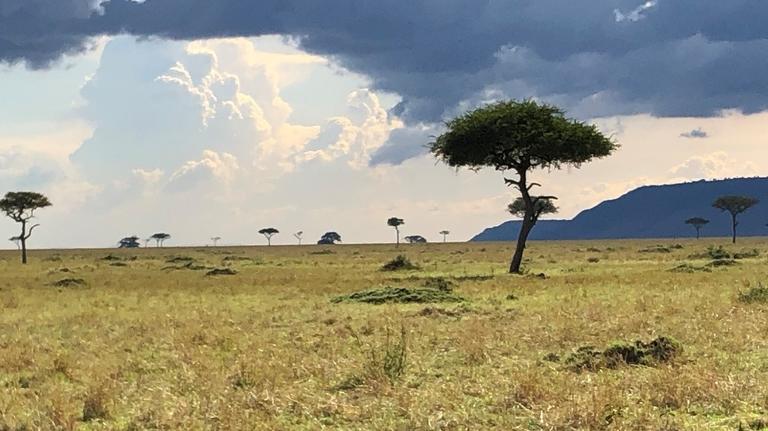 Kenya by Sarah Sievert