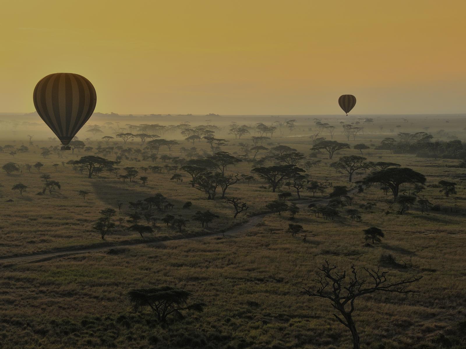 Hot Air Ballons, Serengeti, Tanzania