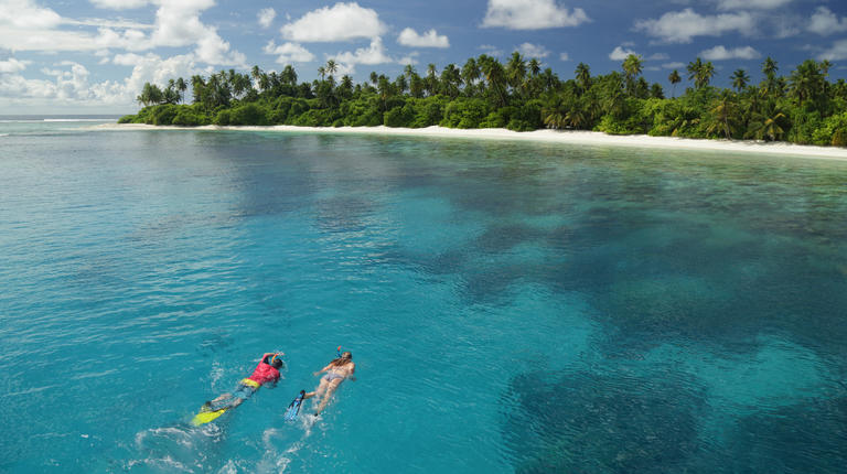 Maldives snorkel