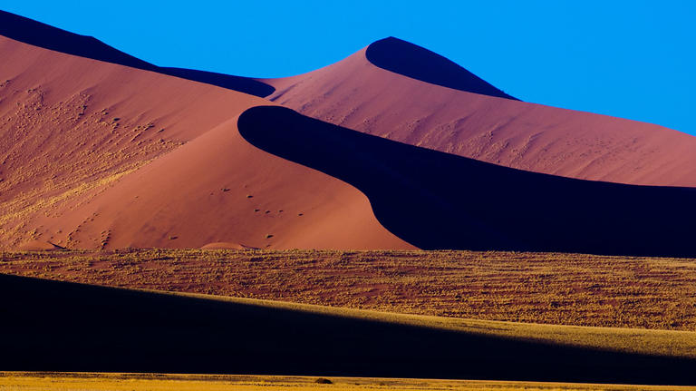 Wind-shaped dunes