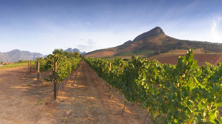 Private Luxury Travel Wine South Africa 
