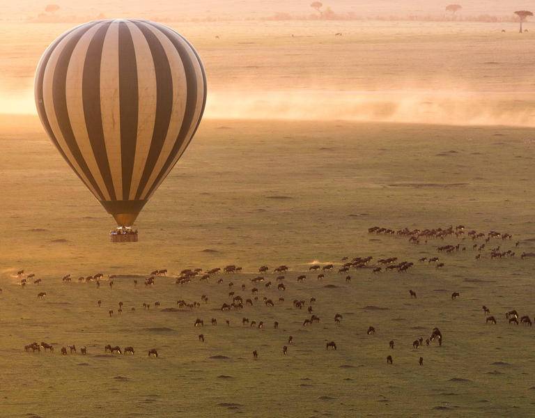 hot air balloon above herd of wildebeest 