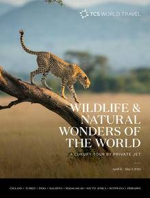 Wildlife and Natural Wonders of the World Brochure Cover